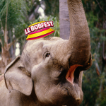 Concours de barrissement de l'éléphant